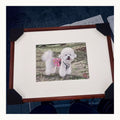 Finished custom teddy Su-embroidery portrait in warm-white presentation